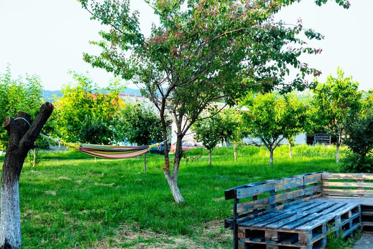 Pensiunea Marmis Riu Barbat 외부 사진